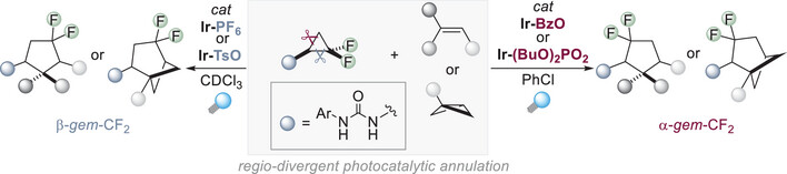 Graphical abstract — Regiodivergent Photocatalytic Annulation