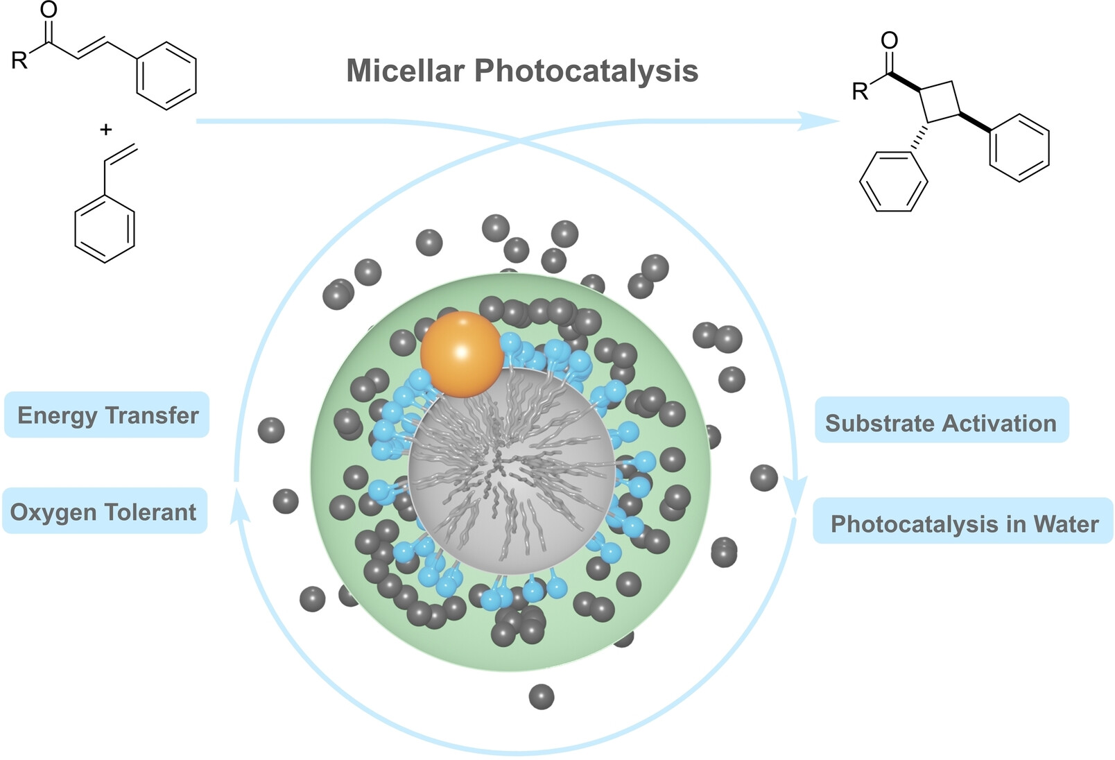 Graphical abstract — Facilitating [2+2] Photocycloadditions in Water
