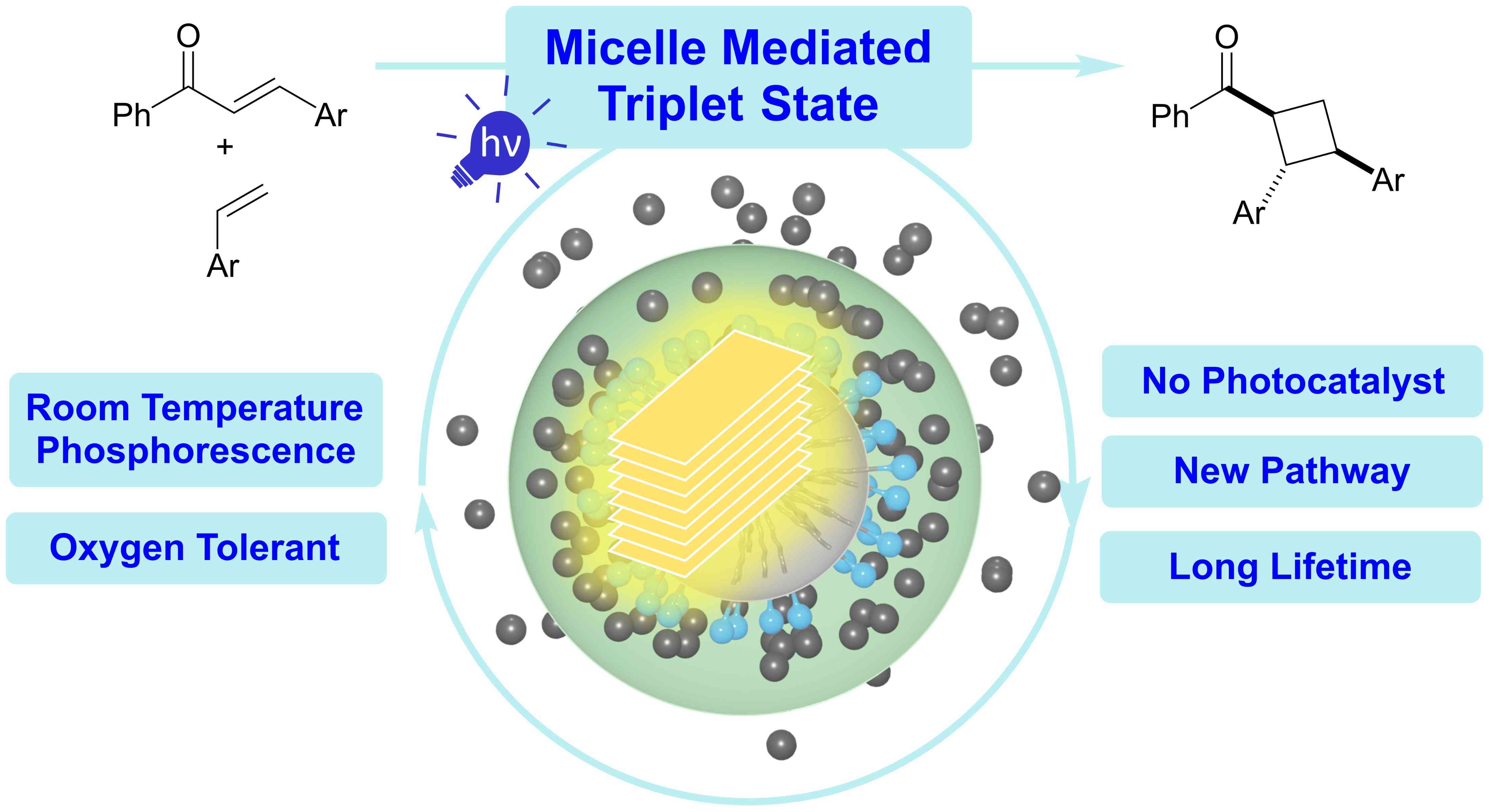 Graphical abstract — Triplet State Reactivity of Chalcones
